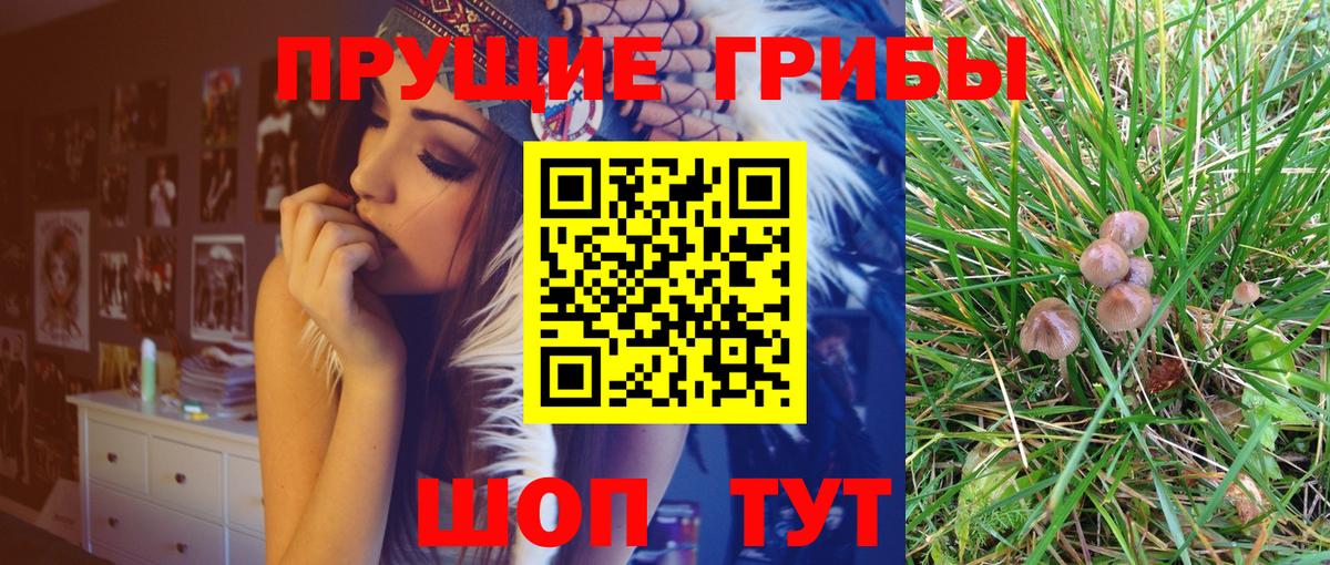 Галлюциногенные грибы GOLDEN TEACHER Кулебаки