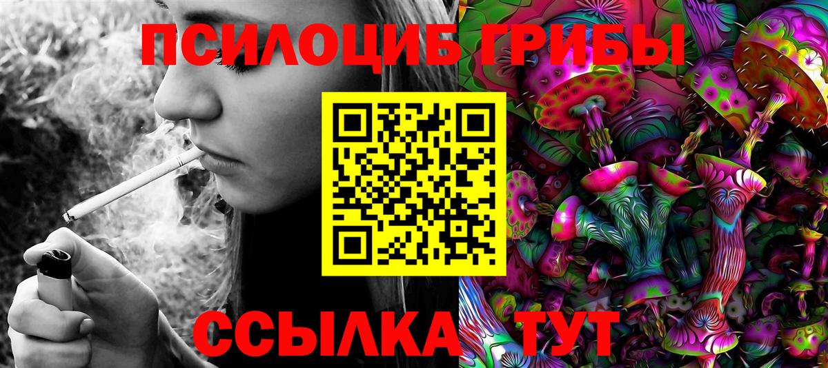 Псилоцибиновые грибы Cubensis  Вход с VPN  Кулебаки 