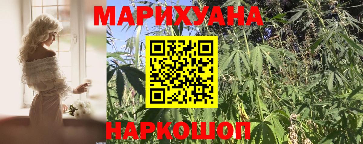 Шишки марихуана конопля  Бошки Шишки сатива  Кулебаки  Вход с VPN  Каннабис Bruce Banner  Бошки марихуана план 